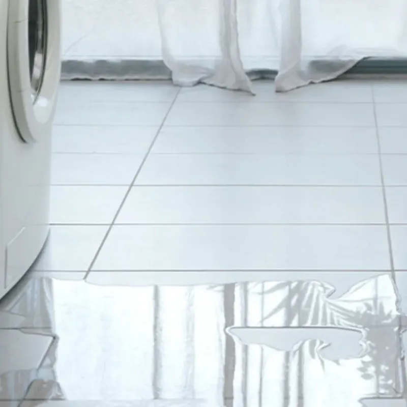 Appliance Leak Cleanup in Scottville, MI