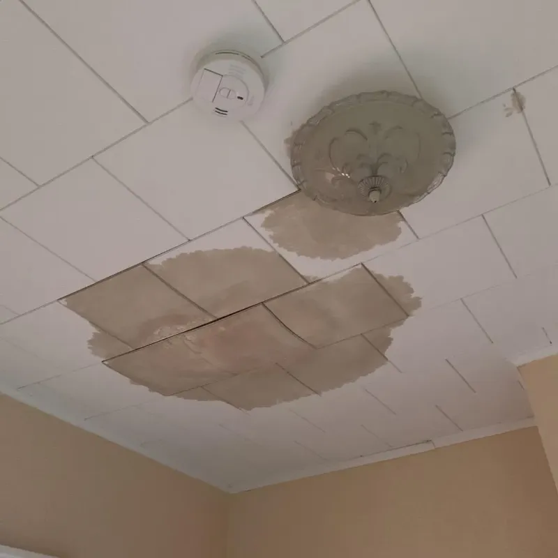 Ceiling Water Damage Repair in Scottville, MI