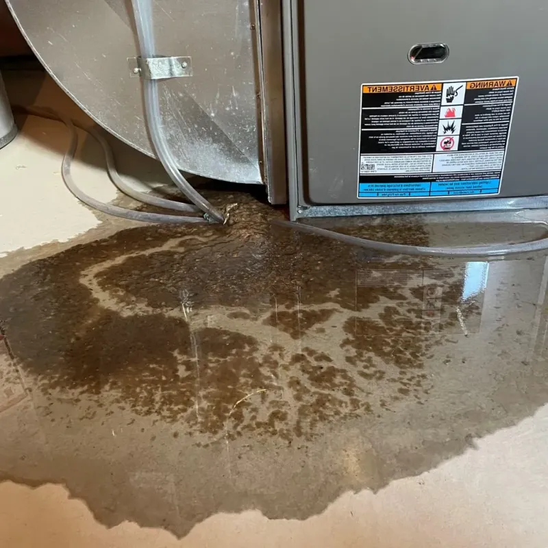 Pipe Burst and Leak Restoration in Scottville, MI