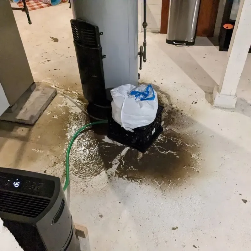 Sewage Backup Cleanup Service in Scottville, MI